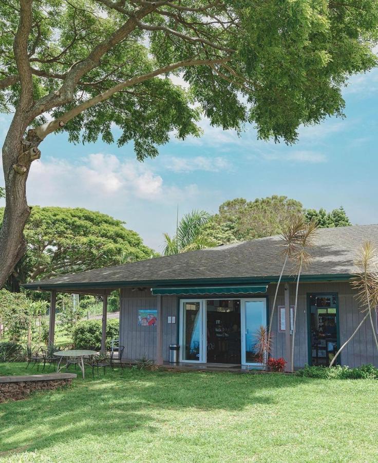 Haukea At Kona Joe Coffee Farm Apartment Kealakekua Exterior photo